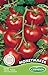 Germisem Moneymacker Semillas de Tomate 1.5 g (EC8021) nuevo 2024
