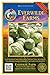 Everwilde Farms - 500 Early Jersey Wakefield Cabbage Seeds - Gold Vault Jumbo Seed Packet new 2024