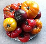 Photo This is A Mix!!! 30+ Rainbow Deluxe Tomato Seeds Mix 16 Varieties, Heirloom Non-GMO, Indeterminate, Old German, Chocolate Stripes, Ukrainian Purple, Amish Paste USA, best price $5.69, bestseller 2024