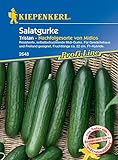 Foto Kiepenkerl 2648 Salatgurke Tristan F1, resistente selbstbefruchtende Midi-Gurke, für Gewächshaus und Freiland geeignet, Fruchtlänge ca. 22 cm, bester Preis 5,99 €, Bestseller 2024