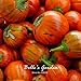 Naranja berenjena 20pcs turca Vegetable Seeds Inicio Plantas Bonsai Garden bricolaje nuevo 2024