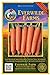 Everwilde Farms - 2000 Scarlet Nantes Carrot Seeds - Gold Vault Jumbo Seed Packet new 2024