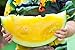 Gelb Wassermelone JANOSIK Samen - Wassermelone neu 2023