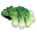 Photo Burpee Toy Choi Cabbage Seeds 200 seeds, best price $7.23 ($0.04 / Count), bestseller 2024