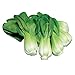 Burpee Toy Choi Cabbage Seeds 200 seeds new 2024
