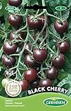 Foto Tomate Mini Black Cherry, bester Preis 2,21 €, Bestseller 2024