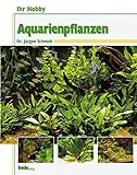Foto Ihr Hobby: Aquarienpflanzen, bester Preis 10,90 €, Bestseller 2024
