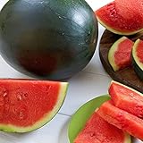 Photo Watermelon, Black Diamond, Heirloom, 50 Seeds, Super Sweet Round Melon, best price $2.99 ($0.06 / Count), bestseller 2024