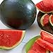 Watermelon, Black Diamond, Heirloom, 50 Seeds, Super Sweet Round Melon new 2022