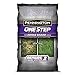 Pennington One Step Complete Dense Shade Bare Spot Grass Seed, 10 Pounds, White new 2024