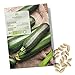 BIO Zucchini Samen (Nero di Milano) - Zucchini Saatgut aus biologischem Anbau ideal für die Anzucht im Garten, Balkon oder Terrasse neu 2024