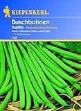 Foto Kiepenkerl Buschbohnen 'Duplika',1 Portion, bester Preis 3,21 €, Bestseller 2024