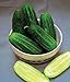 Cucumber, National Pickling Cucumber Seed, Heirloom,25 Seeds, Great for Pickling new 2024