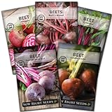 Photo Sow Right Seeds - Beet Seeds for Planting - Detroit Dark Red, Golden Globe, Chioggia, Bull’s Blood and Cylindra Varieties - Non-GMO Heirloom Seeds to Plant a Home Vegetable Garden - Great Gift, best price $10.99, bestseller 2024