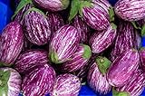 Photo Fairy Tale F1 Eggplant Seeds - Non-GMO - 10 Seeds, best price $6.99, bestseller 2024