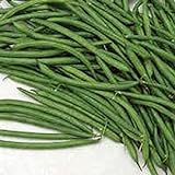 Photo Burpee Stringless Green Bush Bean - 25 Count Seed Pack - Non-GMO - A Culinary Star, pods are Delicious in Many Foods. - Country Creek LLC, best price $1.99, bestseller 2024
