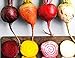 Rainbow Mix Heirloom Beet Seeds Gold, White, Red and Chioggia! bin316 (180+ Seeds, or 1/8 oz) new 2024