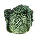Savoy Perfection Cabbage Seeds - 50 Count Seed Pack - Non-GMO - A Unique Hardy Crop with a Sweet and Delicate Flavor That Makes an Excellent Addition to Many Dishes. - Country Creek LLC new 2024