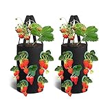 Foto Erdbeere Pflanzsack, 2 Pack Pflanzen Tasche Grow Tasche Pflanzbeutel mit Griffe,Hängend Erdbeeren Pflanztaschen für Erdbeeren, Kräuter, Blumen (Schwarz), bester Preis 12,99 €, Bestseller 2024