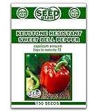 Photo Keystone Resistant Sweet Bell Pepper Seeds 150 Seeds Non-GMO, best price $1.89 ($0.01 / Count), bestseller 2024