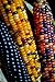 NIKA SEEDS - Vegetable Corn Montana Mix Heirloom for Salads - 50 Seeds new 2024