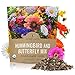 Wildflower Seeds Butterfly and Humming Bird Mix - Large 1 Ounce Packet 7,500+ Seeds - 23 Open Pollinated Annual and Perennial Species new 2022