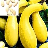 Foto Kürbiskerne, 25Pcs / Beutel Kürbis-Samen Essbare fettarme Bananenform Melone Natürliche Seed Cuaurbit Samen für die Landwirtschaft, bester Preis 0,01 €, Bestseller 2024