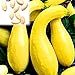Kürbiskerne, 25Pcs / Beutel Kürbis-Samen Essbare fettarme Bananenform Melone Natürliche Seed Cuaurbit Samen für die Landwirtschaft neu 2023