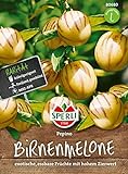 Foto 80680 Sperli Premium Birnenmelone Samen | Melonenbirne Samen | Pepino Samen | Pepino Melonenbirne Samen | Birnenmelone Pflanze | Melonenbirne Pflanze, bester Preis 6,77 €, Bestseller 2024
