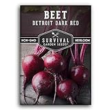 Photo Survival Garden Seeds - Detroit Dark Red Beet Seed for Planting - Packet with Instructions to Plant and Grow Delicious Root Vegetables in Your Home Vegetable Garden - Non-GMO Heirloom Variety, best price $4.99, bestseller 2024