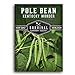 Survival Garden Seeds - Kentucky Wonder Pole Bean Seed for Planting - Packet with Instructions to Plant and Grow Delicious Snap Beans in Your Home Vegetable Garden - Non-GMO Heirloom Variety new 2023