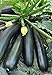 Seeds Zucchini Squash Black Beauty Vegetable for Planting Heirloom Non GMO new 2024