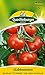 Tomatensamen - Tomate Harzfeuer F1 von Quedlinburger Saatgut neu 2024