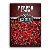 Photo Survival Garden Seeds - Red Cayenne Pepper Seed for Planting - Packet with Instructions to Plant and Grow Hot Chili Peppers in Your Home Vegetable Garden - Non-GMO Heirloom Variety - Single Pack, best price $4.99, bestseller 2024