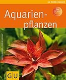 Foto Aquarienpflanzen, bester Preis 9,99 €, Bestseller 2024