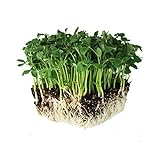 Photo Speckled Pea Sprouting Seeds - 5 Lbs - Certified Organic, Non-GMO Green Pea Sprout Seeds - Sprouts & Microgreens, best price $23.46, bestseller 2024