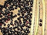 Photo Black Crowder Pea Seeds - Heavy yields of Dark Purple cowpeas!! (200 - Seeds), best price $14.99, bestseller 2024