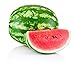 Crimson Sweet Watermelon Seeds for Planting - Large 200 Count Premium Heirloom Seeds Packet! new 2024