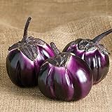 Photo David's Garden Seeds Eggplant Barbarella (Purple) 25 Non-GMO, Hybrid Seeds, best price $3.45, bestseller 2024