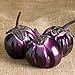 David's Garden Seeds Eggplant Barbarella (Purple) 25 Non-GMO, Hybrid Seeds new 2024