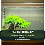 Photo IWAGUMI AQUASCAPE: IWAGUMI AQUASCAPE – HOW TО AND GUIDE, best price $2.99, bestseller 2024