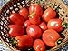 75+ Roma VFN- Heirloom Tomato Seeds new 2024