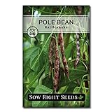 Photo Sow Right Seeds - Rattlesnake Pole Bean Seed for Planting - Non-GMO Heirloom Packet with Instructions to Plant a Home Vegetable Garden, best price $5.49, bestseller 2024