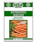 Photo Imperator Carrot Seeds - 500 Seeds Non-GMO, best price $1.59, bestseller 2024