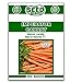 Imperator Carrot Seeds - 500 Seeds Non-GMO new 2024