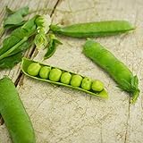 Photo Little Marvel Shelling Pea - 50 Seeds - Heirloom & Open-Pollinated Variety, Easy-to-Grow & Cold-Tolerant, Non-GMO Vegetable Seeds for Planting Outdoors in The Home Garden, Thresh Seed Company, best price $7.99, bestseller 2024