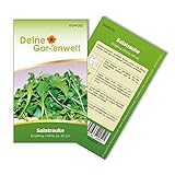 Foto Salatrauke Einjährig Samen - Eruca sativa - Salatraukesamen - Gemüsesamen - Saatgut für 200 Pflanzen, bester Preis 1,99 € (0,01 € / stück), Bestseller 2024