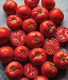 Photo Burpee Big Boy' Hybrid Large Slicing Red Tomato Rich Flavor, 50 seeds, best price $8.63 ($0.17 / Count), bestseller 2024