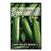 Sow Right Seeds - Beit Alpha Cucumber Seeds for Planting - Non-GMO Heirloom Seeds with Instructions to Plant and Grow a Home Vegetable Garden, Great Gardening Gift (1) new 2022