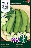 Foto Ackerbohnen Samen für Gemüsegarten - Nelson Garden Saatgut Dicke Bohnen (40 Stück) (Bohne, Acker, Einzelpackung), bester Preis 3,45 €, Bestseller 2024